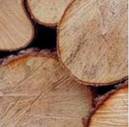 Heimischer Rohstoff Holz Stückholz Direkt vom Förster,