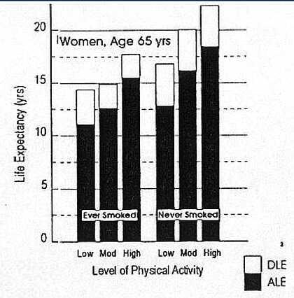 The Harvard Alumni Health Study Physical activity 1962/66 [kcal per week] Results 1986 Relative risk of death <2000 1.00 >=2000 0.