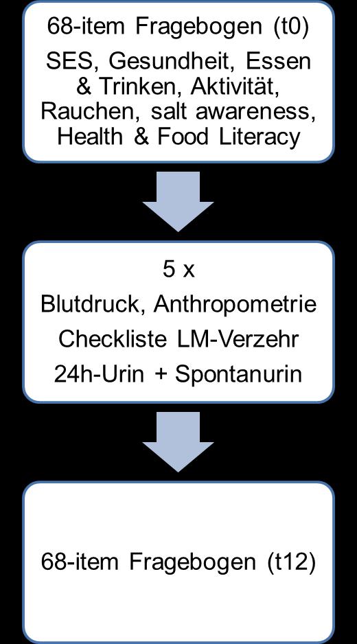 1 Eigene Lebensmittelpyramide Workshop 2: Salz in der Ernährung (Verhaltensänderung, Salz in der Ernährung, Lebensmittelkennzeichnung, Massnahmen) E-Mail 2.