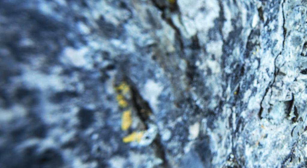 34 Alpenverein Akademie Führen & Leiten 2017/ 18 Übungsleiter Klettersteig Sicherungs- und Klettertechnik beim Begehen von Via Ferratas Der Übungsleiter Klettersteig stützt sich vorrangig auf die