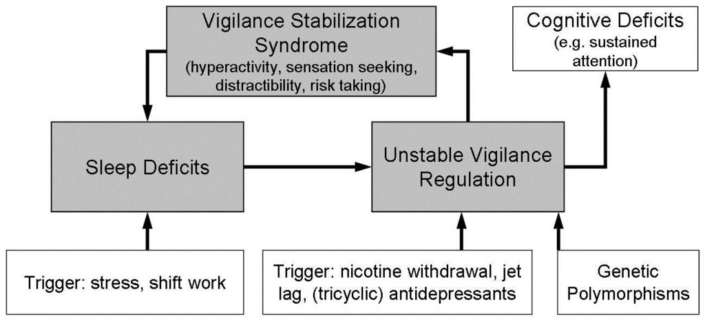 Vigilance regulation model of affective disorders Mania: an autoregulatory attempt to stabilize