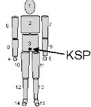 Der Körperschwerpunkt (KSP) Der Körperschwerpunkt (KSP) ist ein fiktiver Punkt in den die Masse des gesamten Körpers gedacht werden kann und Angriffspunkt der Schwerkraft.
