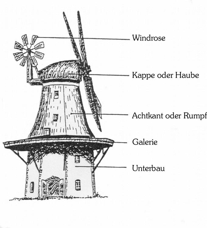 Mit dem dreigeschossige Backsteinunterbau, dem oberen reitgedeckten Achtkant und der Kappe ist die Mühle 22.68 m hoch. Die Segelflügel haben einen Durchmesser von 23 m. Abb.