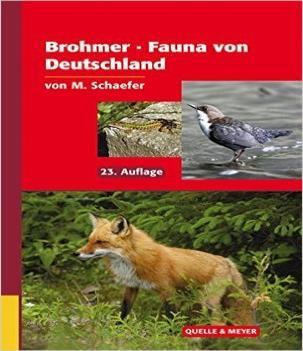 KAESTNER: Lehrbuch der Speziellen Zoologie, Bd. R. WEHNER, W.