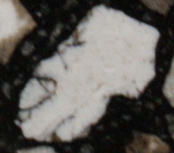 Bitumen (insbesondere Maltene) werden von porösem