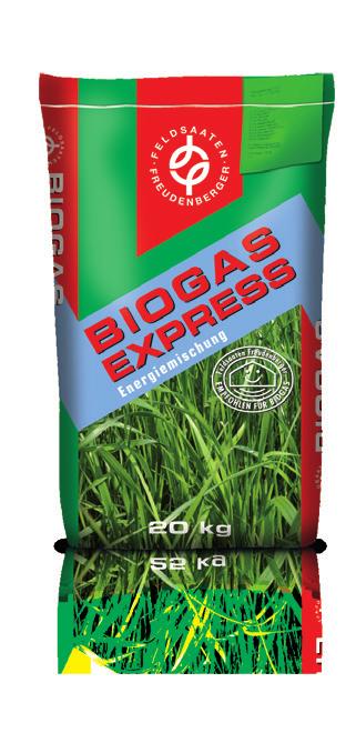 Top-Lösungen für Fermenter und Böden Biogasexpress Klee-Grasmischungen mit kurzlebigen Weidelgräsern für die einjährige und überjährige Nutzung, Gräser aus dem Ackerfutterbau oder vom Dauergrünland