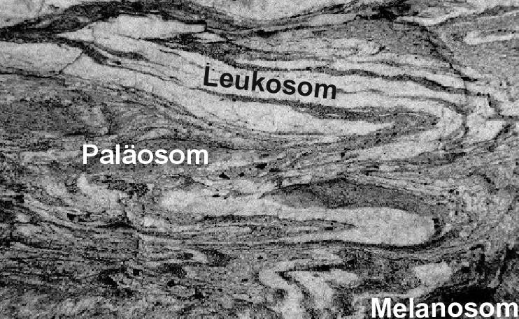 Ausgangsgestein: Unreine Kalksteine Kalkphyllit: Dieses Gestein entsteht aus unreinem Kalkstein bzw. Mergel bei sehr niedrig- bis niedriggradiger Metamorphose.