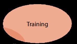 Theorien Modelle Konzepte des Trainings Trainingsprinzipien Trainingssteuerung Trainingsplanung kontrolle analyse