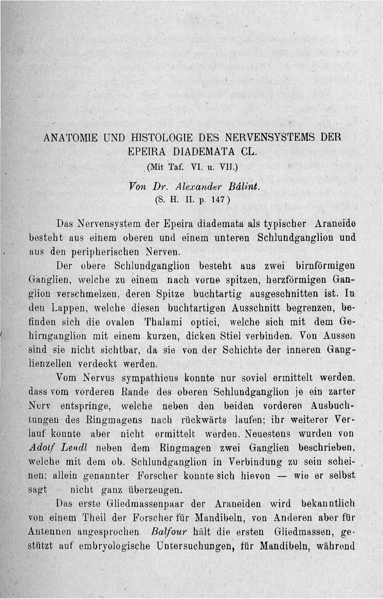 ANATOMIE UND HISTOLOGIE DES NERVENSYSTEMS DER EPEIRA DIADEMATA CL. (Mit Taf. VI. u. VII.) Von Dr. Alexander BdUnt. (S. H. II. p.