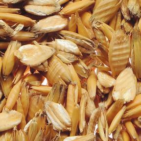 Uitz Getreideflocken aus Mais, Gerste, Weizen und Hafer Ein