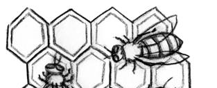 Station 12 Honigbienen (Lösung) Wenn wir Bienen meinen, geht es meistens um Honigbienen. Es gibt jedoch in Europa über 1.300 Arten von Bienen.