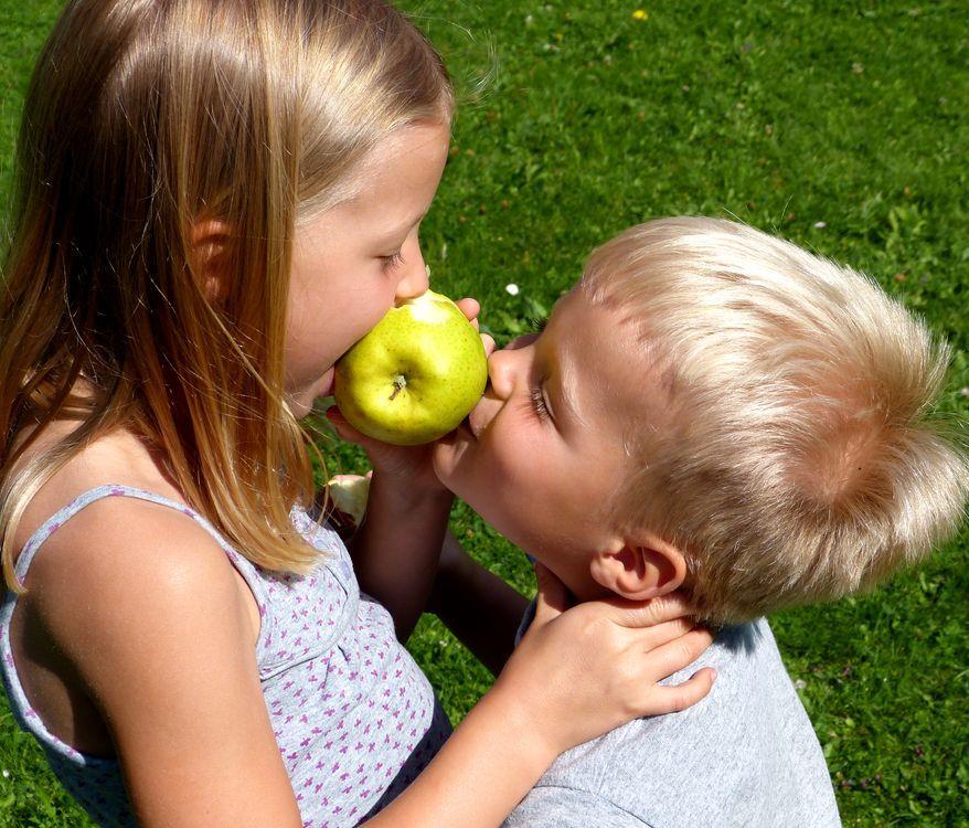 Äpfel genießen trotz Allergie Polyphenole machen alte Sorten besser verträglich Alte Apfelsorten sind für Allergiker besser verträglich als neu gezüchtete Sorten.