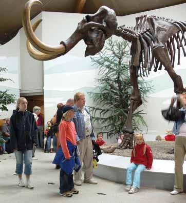 SDGG, Heft 84 63 Naturkunde- u. Mammut-Museums in Siegsdorf. Das Museum vermittelt auf übe