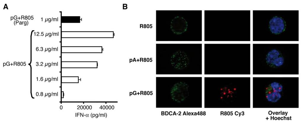 Ergebnisse Abbildung 3.21: Der nackte TLR7-Ligand pg+r805 wird von humanen PDC ohne Komplexierung mit kationischem Peptid phagozytiert und induziert IFN-!