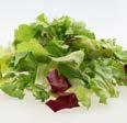 Spezialsalate Salate geputzt Spezialsalate / geputzte Salate Salategemischt geputzt 5590 Mizuna 1721 Mini