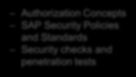 penetration tests SAP Security Policy