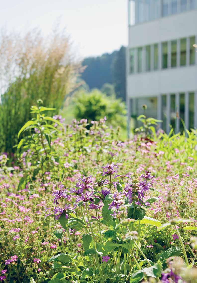 «Das Ambiente auf der Privatstation und die Aussicht ins Grüne