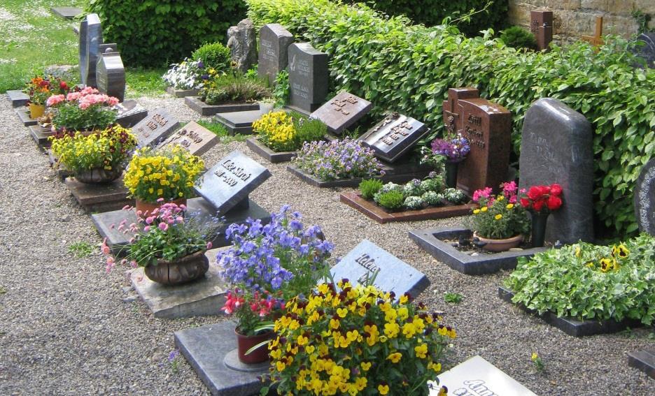 Urnenreihengrab Urnenreihengräber gibt es auf allen Balinger Friedhöfen Urnenreihengräber sind Grabstätten für die Beisetzung von Urnen in Grabfeldern.