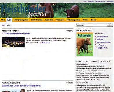 Anzeigenpreisliste Nr. 8 gültig ab Folge 1/018 Banner www.frj.de frj.de bietet aktuelle Informationen auch zwischen den Erscheinungsterminen des Heftes.