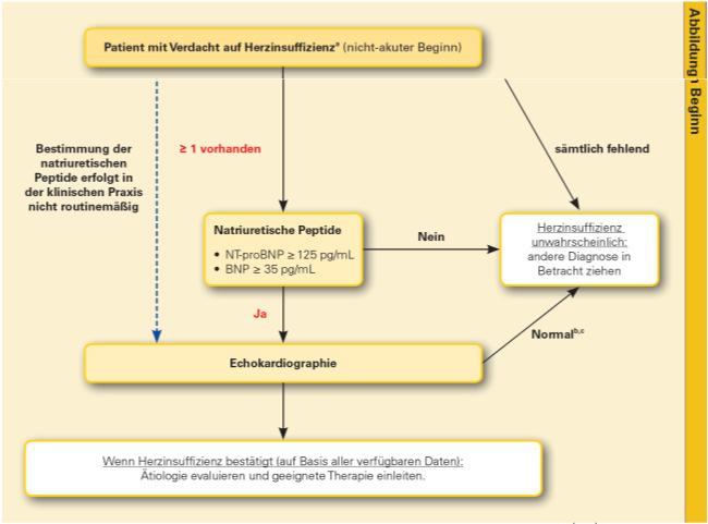 Formen der Herzinsuffizienz HFrEF Systolische HF HFmrEF HFpEF Diastolische HF Symptome +/- Zeichen Symptome +/- Zeichen