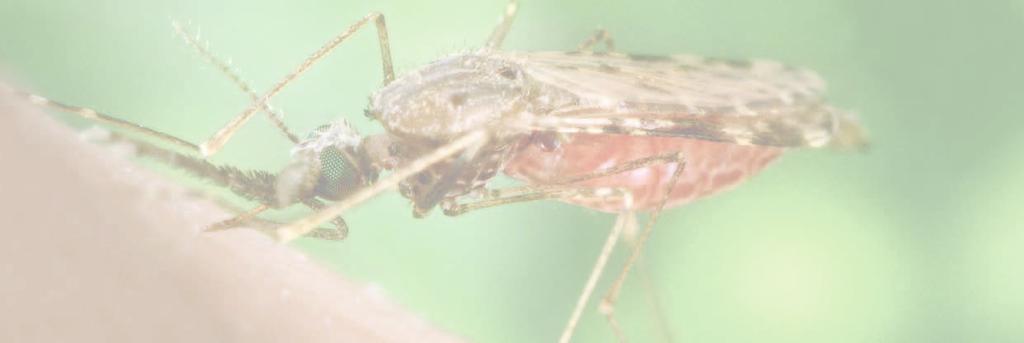 Malaria: einst vergessen, dereinst zu vergessen?