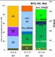 3.16: Masseanteile der Hauptertragsarten im Erntematerial [ % der TM] und TM-Gehalt der Gesamtmischung [TM/FM] in den ersten drei Standjahren nach Aussaat der Mischung H (oben), HM (Mitte) und HV