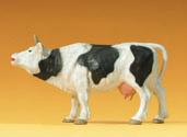 47000 Kuh weidend Cow