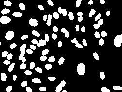 Die kontrastarmen Aufnahmen enthalten menschliche U2OS-Zellen. Die Referenzbilder wurden vom Broad-Institut segmentiert und die Anzahl der Zellen festgehalten.