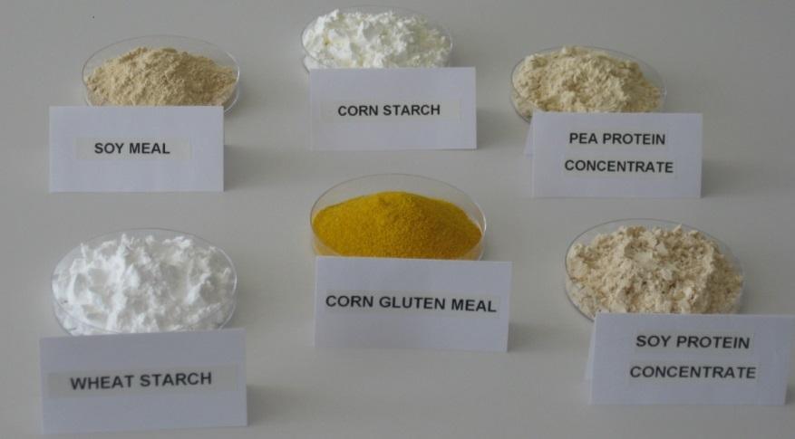 ❶ Testinhaltsstoffe Sojamehl Maisstärke Erbsenprotein-