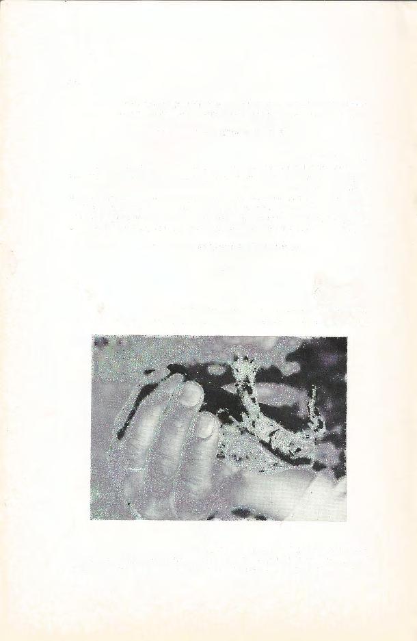 . Emys orbicularis kommt, wenn auch nicht so verbreitet wie Mauremys, in fast ganz Anatolien, auch im W-anatolischen Küstengebiet vor (z.b. ErsELT & SP1T ZENBERGER 1967; BA~OGLU & BARAN (1977).