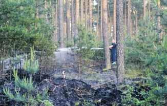 Glück im Unglück war, dass der Brand sich nur im Untergehölz ausbreitete und nicht den ganzen Baumbestand erfasste. Dadurch war auch die Rauchentwicklung nicht groß wie sonst bei Waldbränden üblich.