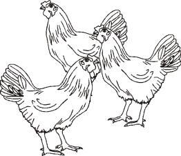 [y] wie in (fünf) fünf [u:] wie in Überholverbot (Überholverbot) (ü) (y) (ü) (üh) (y) die Mütze die Mütze über über die Hühner die
