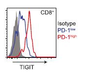 CD8 + T-Zellen exprimiert PBMC CD4