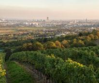 Der Bisamberg im 21. Wiener Bezirk ist bekannt für seine Trockenheit, es gibt insgesamt wenig Niederschlag und durch die ungeschützte Lage viel Wind.