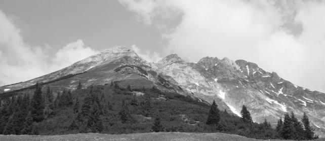 Der Abstieg erfolgt wiederum über den Südrücken und anschließend in westlicher Richtung in das Schneekar. Vorbei an einer kleinen Jagdhütte (1.754 m), gelangt man schon bald zur Aspachhütte (1.