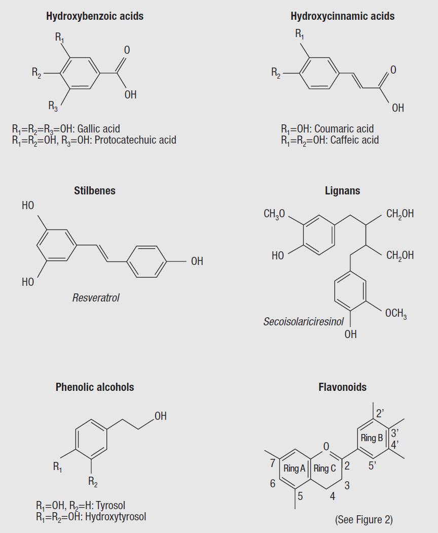 Phenolische Verbindungen sehr heterogene und komplexe Gruppe aus nieder- und hochmolekularen aromatischen Verbindungen antioxidative Eigenschaften bieten Schutz vor oxidativen Schäden kardiovaskuläre