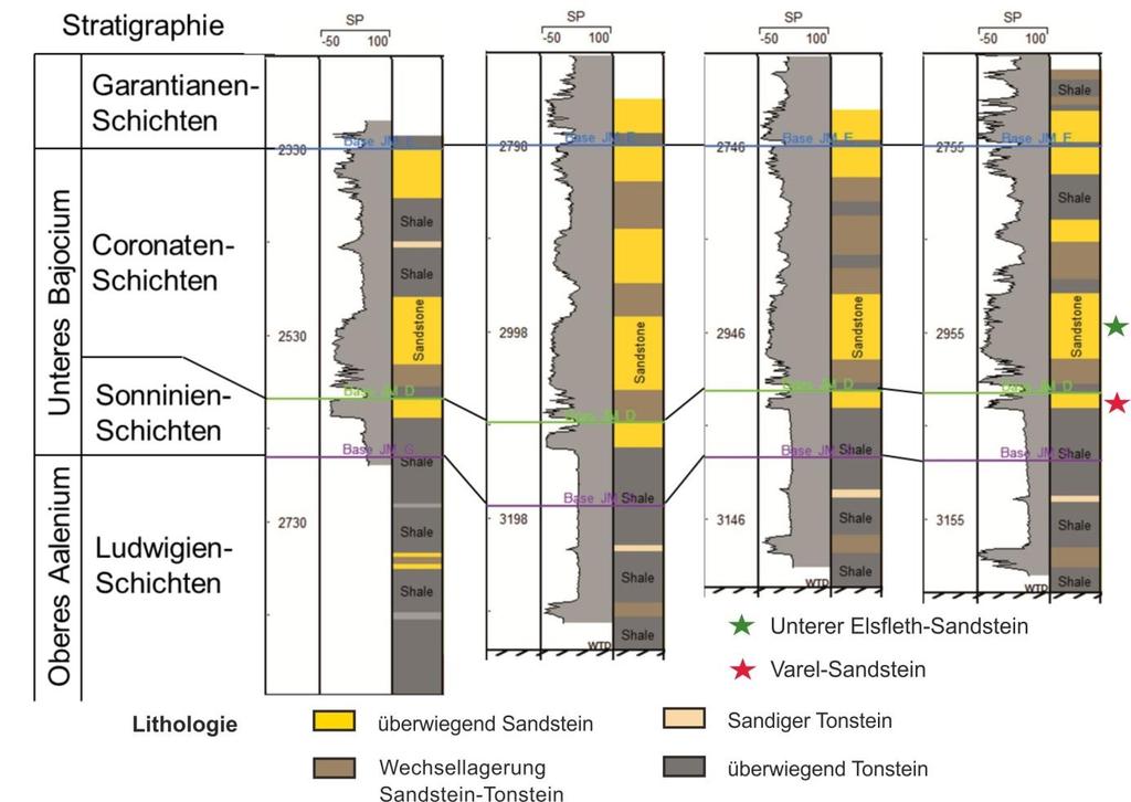 Lithofazielle Entwicklung des Varel-Sandsteins Die überwiegend hell- bis mittelgrauen, mit dünnen Tonflasern durchsetzten Fein- bis Mittelsandsteine sind im Norden des Ostholstein-Troges als massive