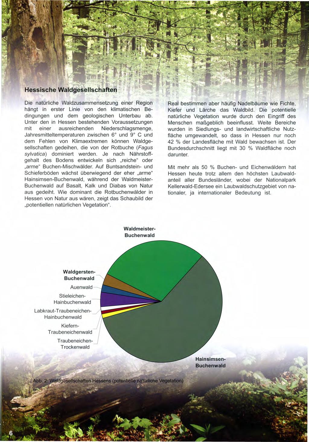 Hessische Waldgesellschaften Die natürliche Waldzusammensetzung einer Region hängt in erster Linie von den klimatischen Bedingungen und dem geologischen Unterbau ab.