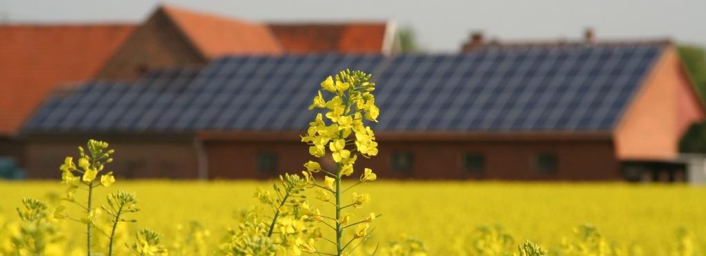 Erneuerbare Energien in NRW Situation und