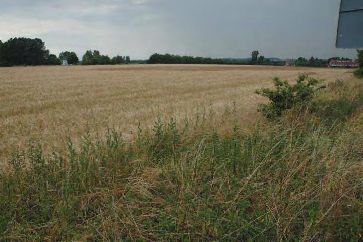 Flächen vermitteln. Fläche A1a A12 Abb.