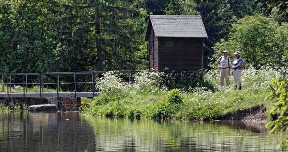 WASSERREICH IN BUNTEN WIESEN Teichlandschaft um Buntenbock Diese leichte Rundtour führt Sie entlang von Bergbauteichen, die dicht an dicht die Clausthaler Hochebene in eine wunderschöne