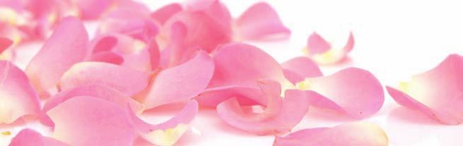 R Rose Rosa damascena blumig, betörend ausgleichend, harmonisierend, stärkend Iran Wasserdampfdestillation der Blüten Rosmarin Rosmarinus officinalis /ct.