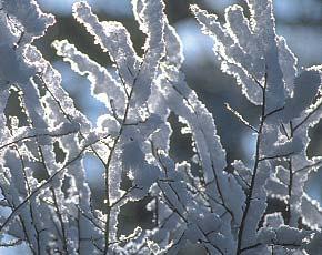 .....deutlich, dass beim Aufbau mit isotherm die Wärmeverluste (blau) im Bereich des Fensterrahmens