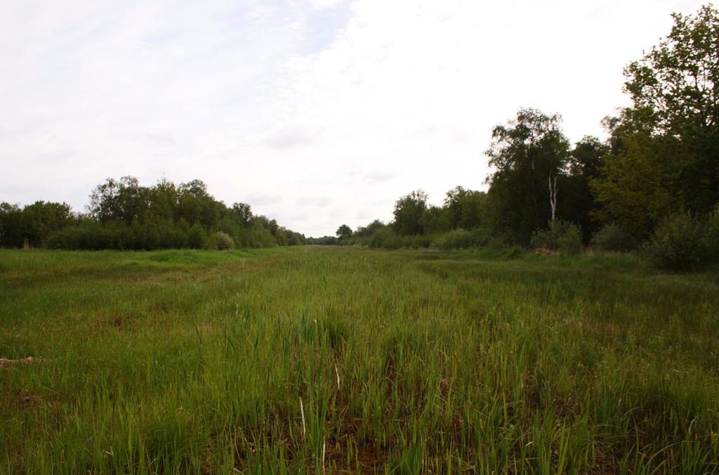 Abb. 5: Die mehrere Hundert Meter langen und etwa 30 Meter breiten Felder sind seitlich von Wassergräben umgeben.