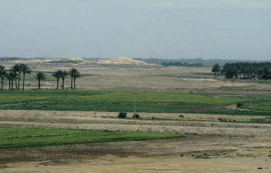 Abb. 2: Die antike Stadt Kisch liegt etwa 15 km östlich von Babylon und besteht aus mehreren Hügeln. Auf dem Bild sieht man inmitten von Feldern und Palmenhainen den Hügel Inghara.