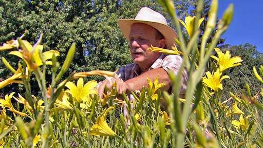 Andrea Müller bei Dieter Gaißmayer Stauden einkaufen ist für Gartenfreunde das Schönste. In der Gärtnerei Gaißmayer in Illertissen bei Ulm beispielsweise kann man wirklich aus dem Vollen schöpfen.