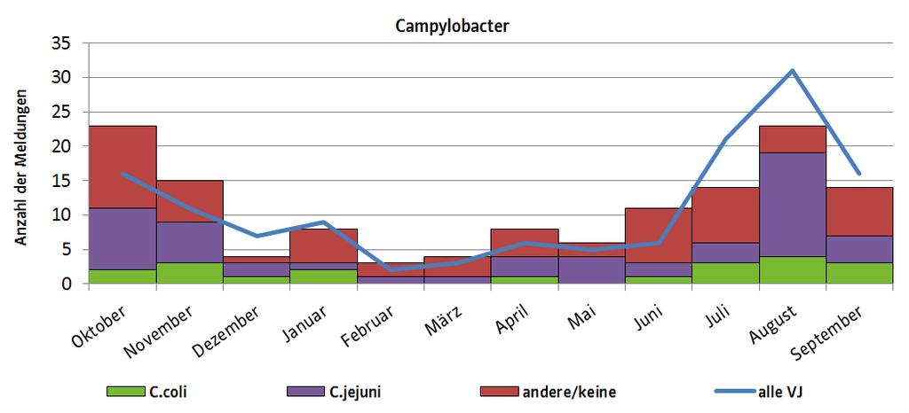 Abbildung 1 Gemeldete Campylobacter-Infektionen nach Erregertypen in bis 30.