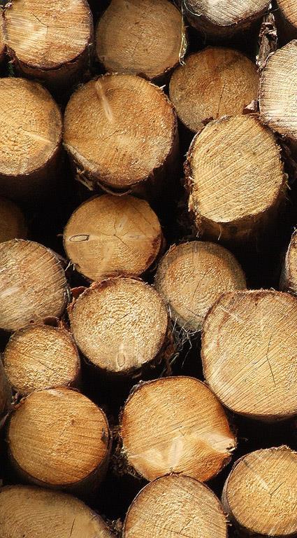 die Herkunft der Rohstoffe Holz FSC zertifiziert Natursteinherkunft die Herstellungsprozesse