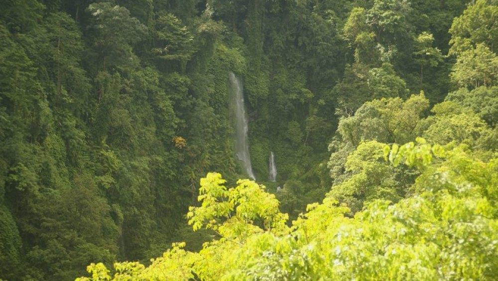 Sendang Gile Wasserfall Tour auf Lombok