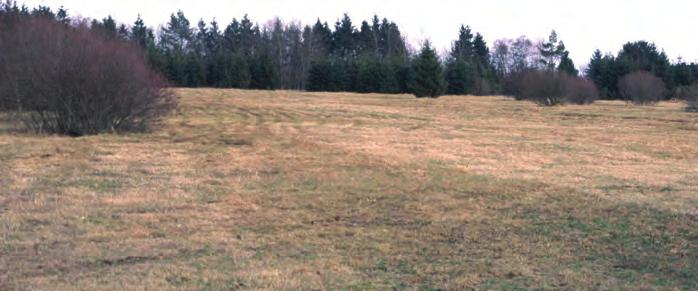 1998) im NSG Sistig-Krekeler Heide im Dezember 1995 wurde die mächtige Filzschicht abgeschlegelt und
